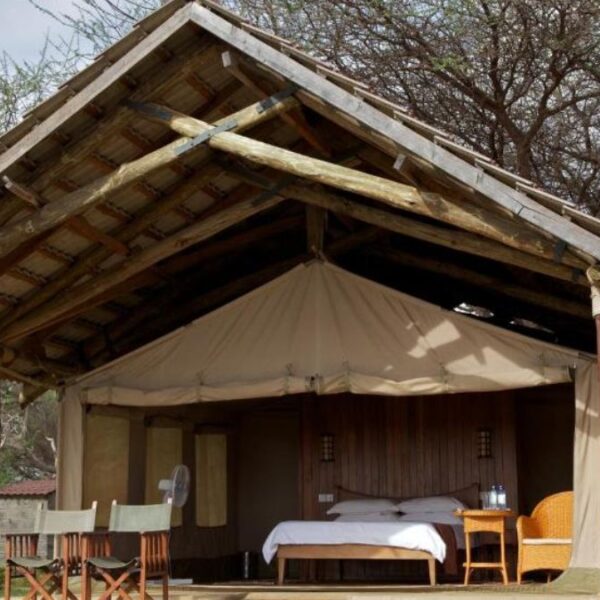 Safari accomodations , travel agent