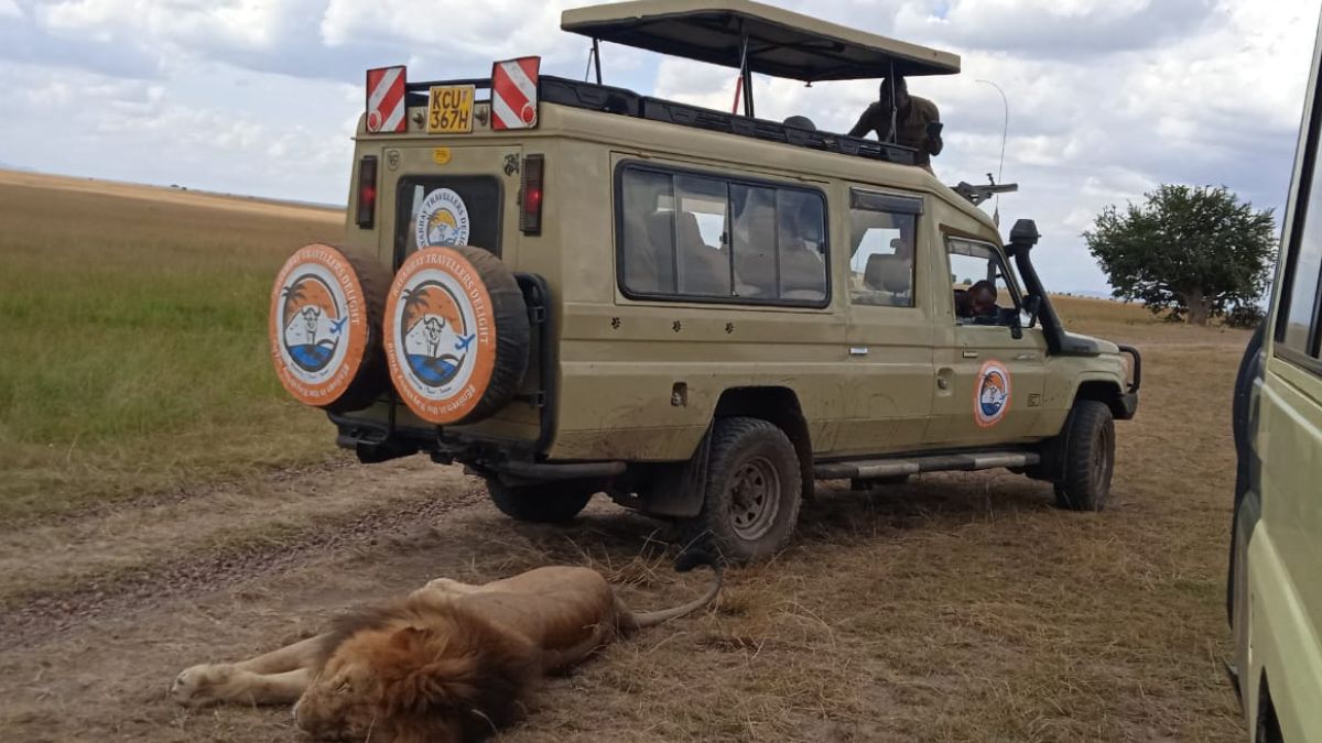 Landcruiser , rayabbay travellers delight