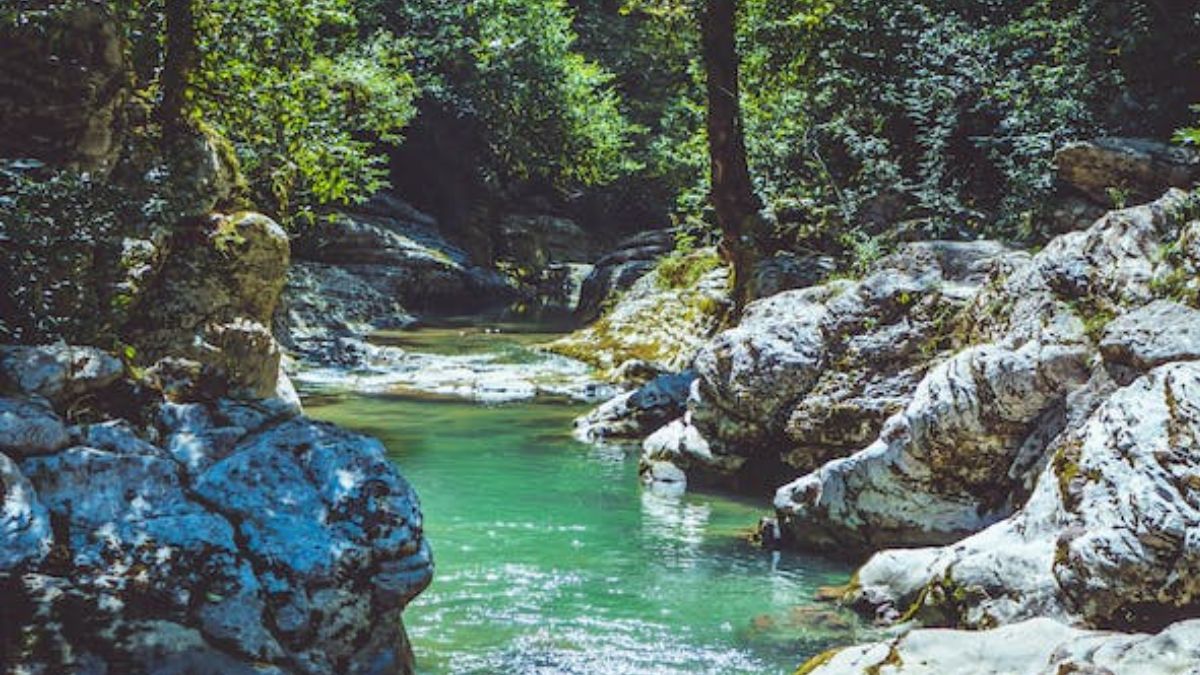 creeks, malindi, watamu