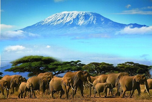 amboseli national park