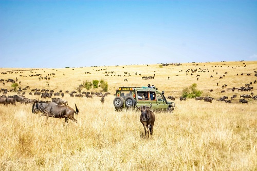 Amboseli to Maasai Mara Itinerary